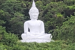 whitebuddha